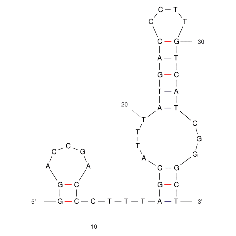 Secondary Structure - Anti-Ancrod Aptamer (Biotin) (A321166) - Antibodies.com