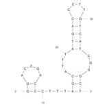 Secondary Structure - Anti-Ancrod Aptamer (Biotin) (A321166) - Antibodies.com