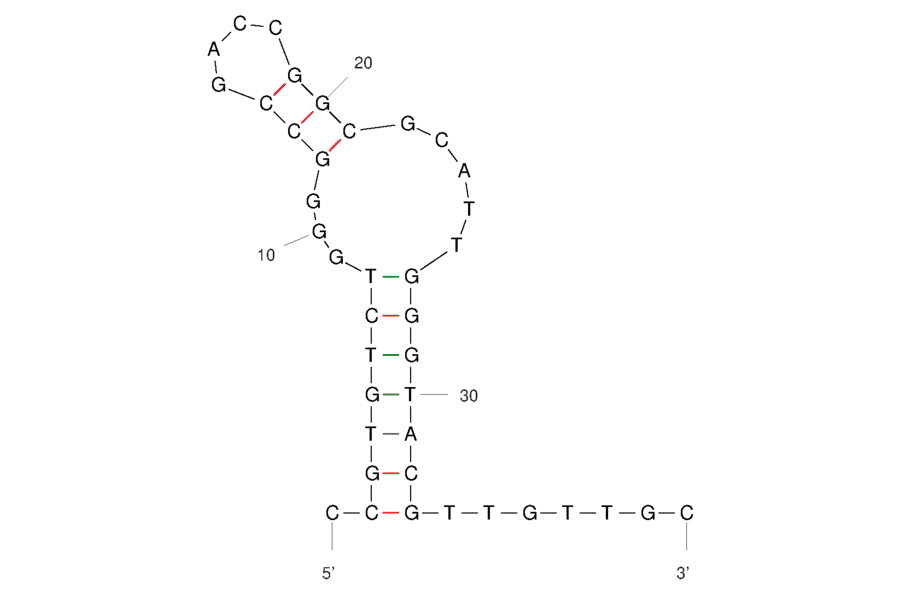Secondary Structure - Anti-Cytochrome C Aptamer (Biotin) (A321168) - Antibodies.com