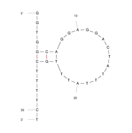 Secondary Structure - Anti-IL-6 Aptamer (Biotin) (A321169) - Antibodies.com