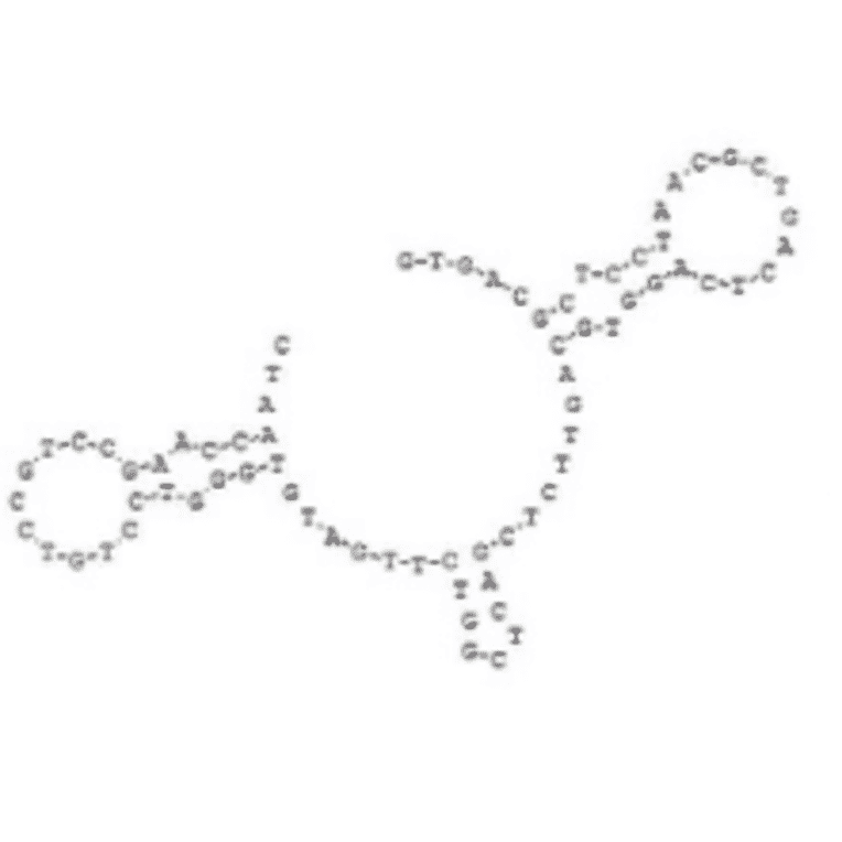 Secondary Structure - Anti-alpha 1 Fetoprotein Aptamer (Biotin) (A321170) - Antibodies.com