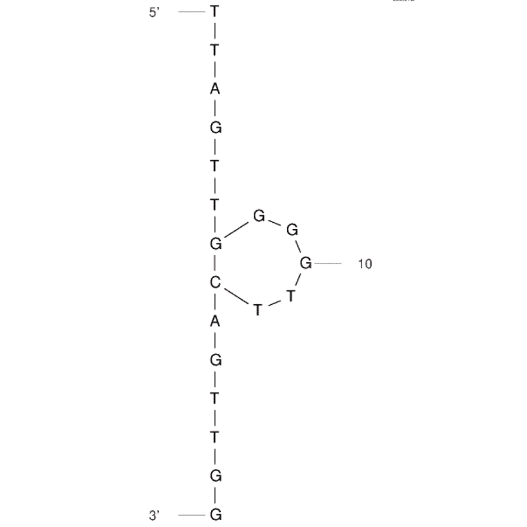Secondary Structure - Anti-Ampcillin Aptamer [AMP18] (Biotin) (A321171) - Antibodies.com