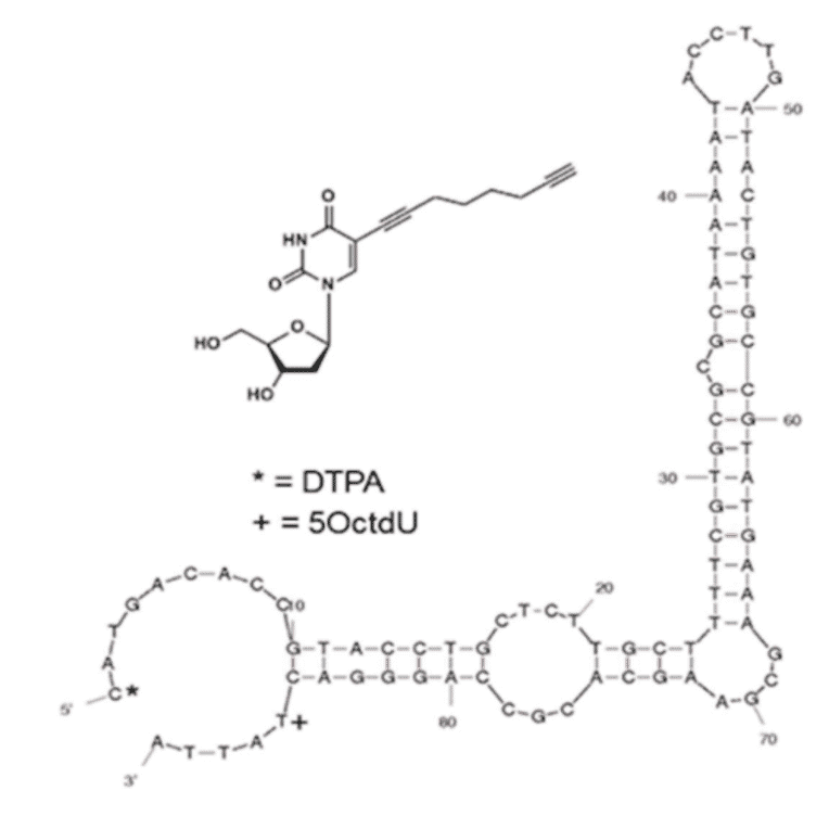 Secondary Structure - Anti-OspA Aptamer [Ion-OspA-59] (Biotin) (A321176) - Antibodies.com
