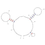 Secondary Structure - Anti-Glutathione S-transferase (GST) Aptamer [G1] (Biotin) (A321197) - Antibodies.com