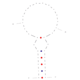 Secondary Structure - Anti-Trastuzumab Aptamer [CH1S-3] (Biotin) (A321214) - Antibodies.com