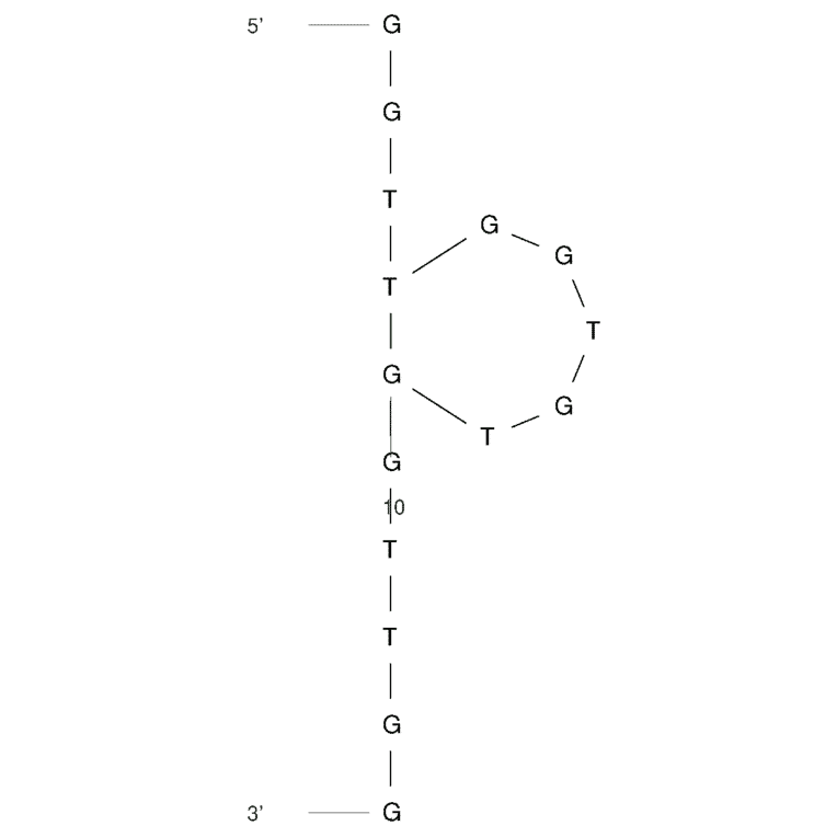 Secondary Structure - Anti-Thrombin Aptamer (Biotin) (A321227) - Antibodies.com