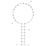 Secondary Structure - Anti-SMMC-7721 Cells Aptamer [SW1A] (Biotin) (A321228) - Antibodies.com