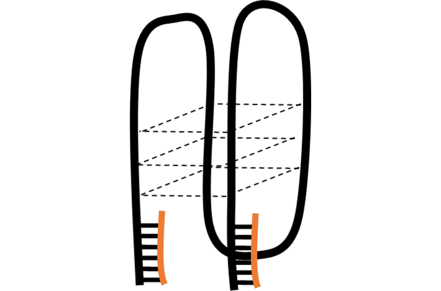 Tertiary Structure - Anti-Huntingtin Aptamer [MS3] (Biotin) (A321233) - Antibodies.com