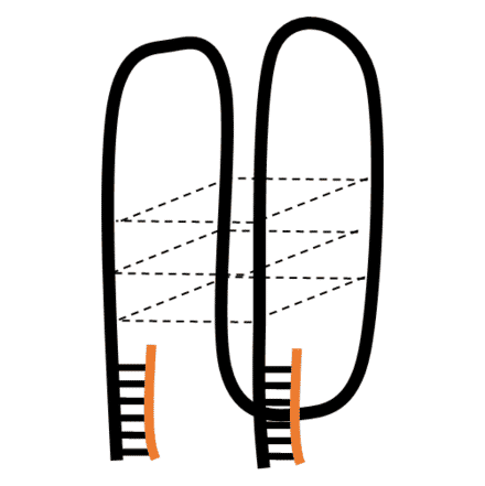 Tertiary Structure - Anti-Huntingtin Aptamer [MS3] (Biotin) (A321233) - Antibodies.com