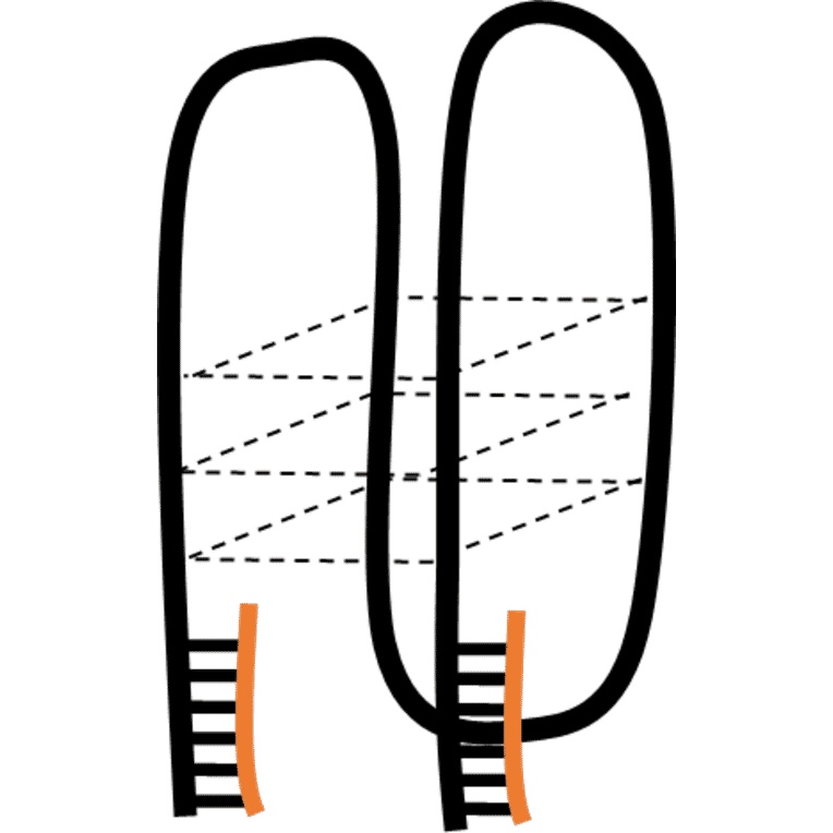 Tertiary Structure - Anti-Huntingtin Aptamer [MS3] (Biotin) (A321233) - Antibodies.com