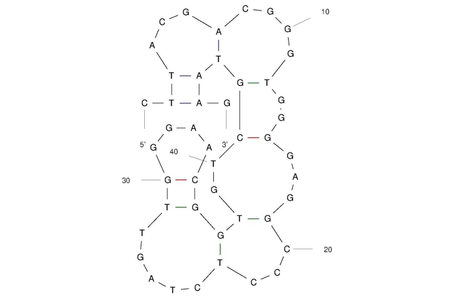 Secondary Structure - Anti-Fentanyl Aptamer [F28] (Biotin) (A321246) - Antibodies.com