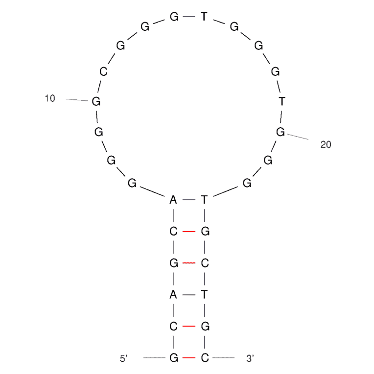 Secondary Structure - Anti-LipL32 Aptamer (Biotin) (A321252) - Antibodies.com