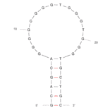 Secondary Structure - Anti-LipL32 Aptamer (Biotin) (A321252) - Antibodies.com