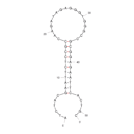 Secondary Structure - Anti-SARS-CoV-2 Spike Glycoprotein Aptamer [Aptamer M40] (Biotin) (A321258) - Antibodies.com