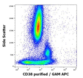 Flow Cytometry - Anti-CD38 Antibody [HB7] (A323160)