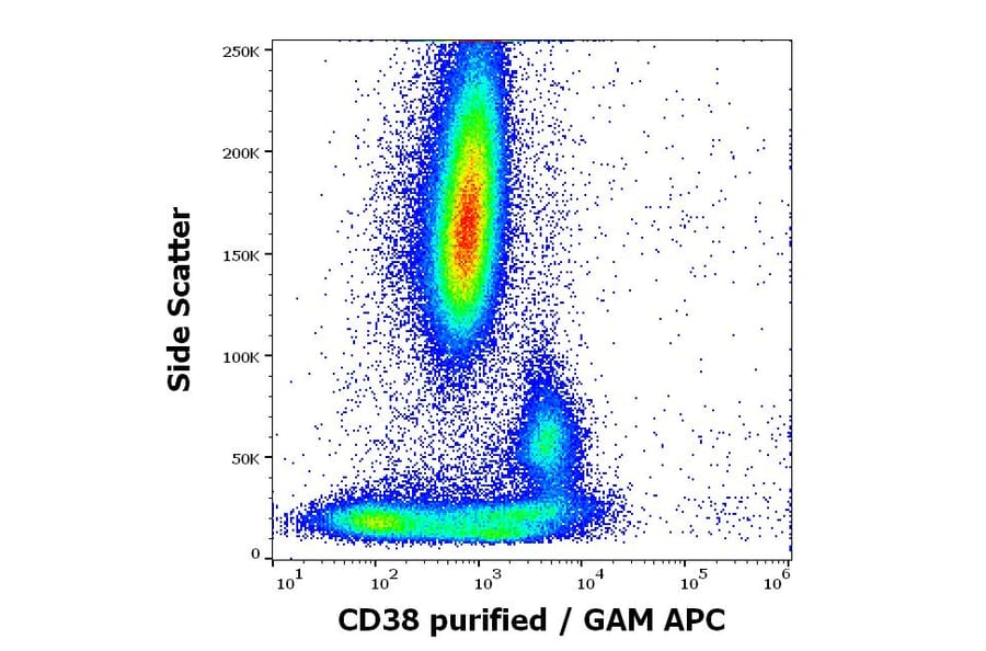 Flow Cytometry - Anti-CD38 Antibody [HB7] (A323160)