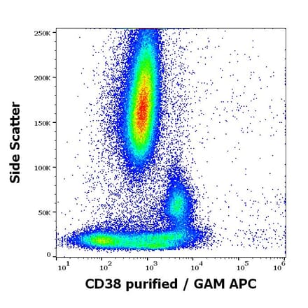 Flow Cytometry - Anti-CD38 Antibody [HB7] (A323160)