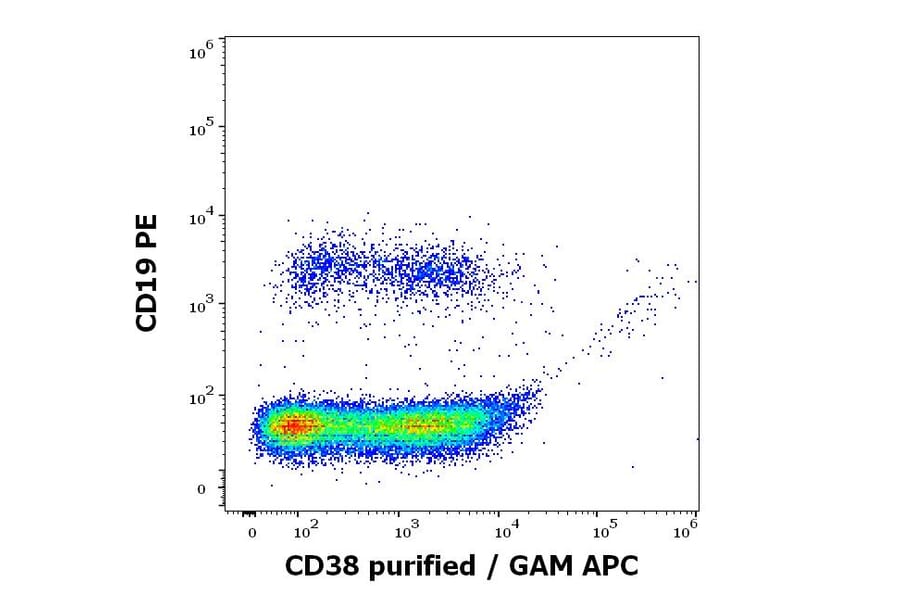 Flow Cytometry - Anti-CD38 Antibody [HB7] (A323160)