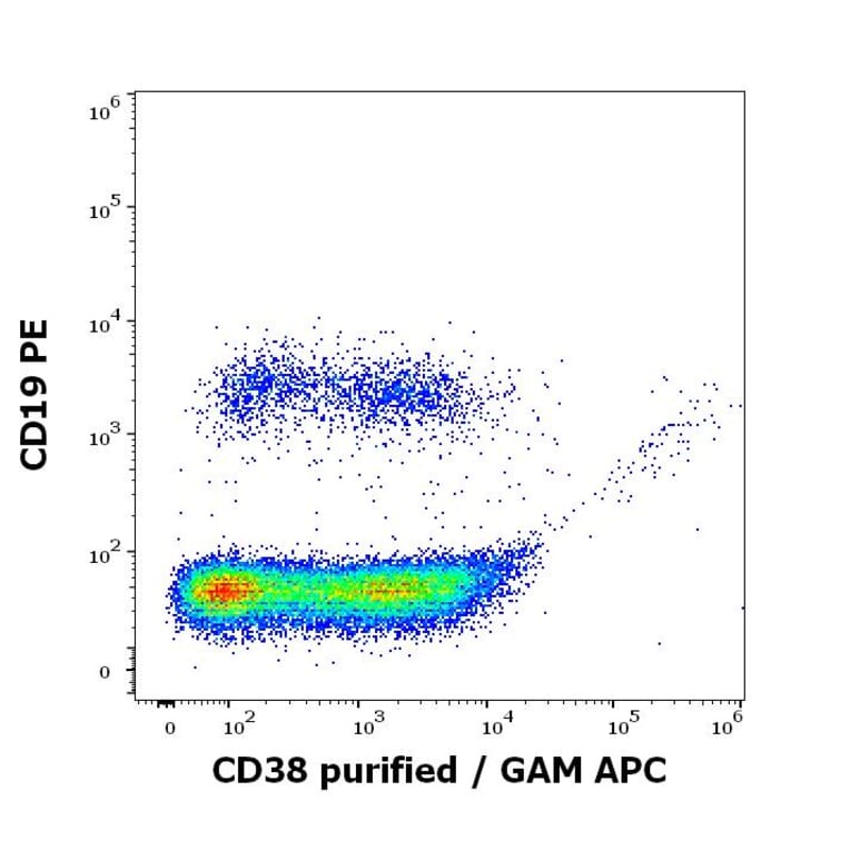 Flow Cytometry - Anti-CD38 Antibody [HB7] (A323160)