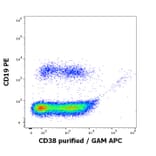 Flow Cytometry - Anti-CD38 Antibody [HB7] (A323160)