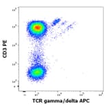 Flow Cytometry - Anti-TCR gamma + TCR delta Antibody [B1] (APC) (A323161)