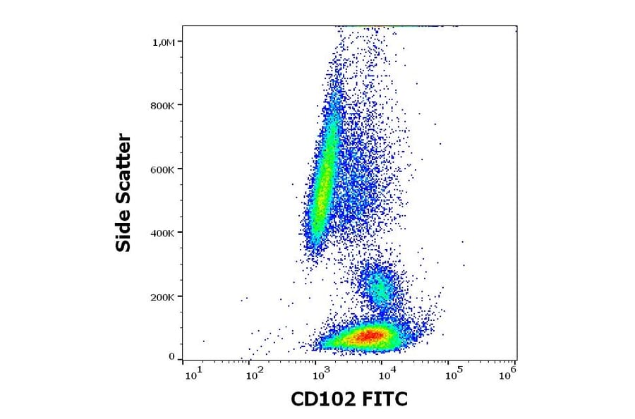 Flow Cytometry - Anti-ICAM2 Antibody [CBR-IC2/2] (FITC) (A323167)