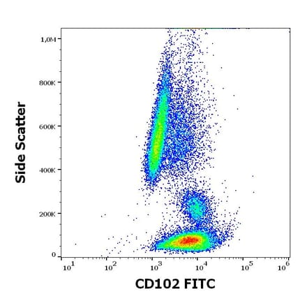 Flow Cytometry - Anti-ICAM2 Antibody [CBR-IC2/2] (FITC) (A323167)