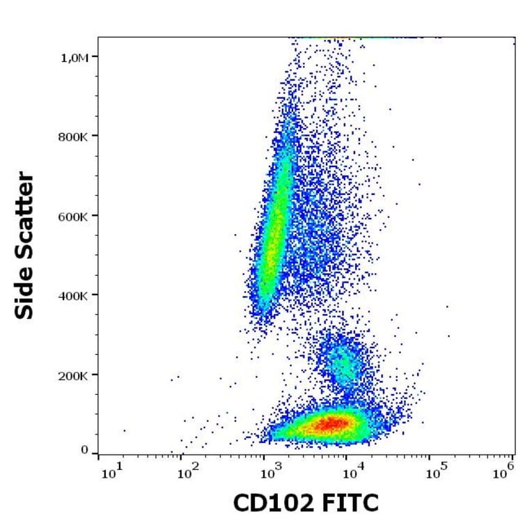Flow Cytometry - Anti-ICAM2 Antibody [CBR-IC2/2] (FITC) (A323167)