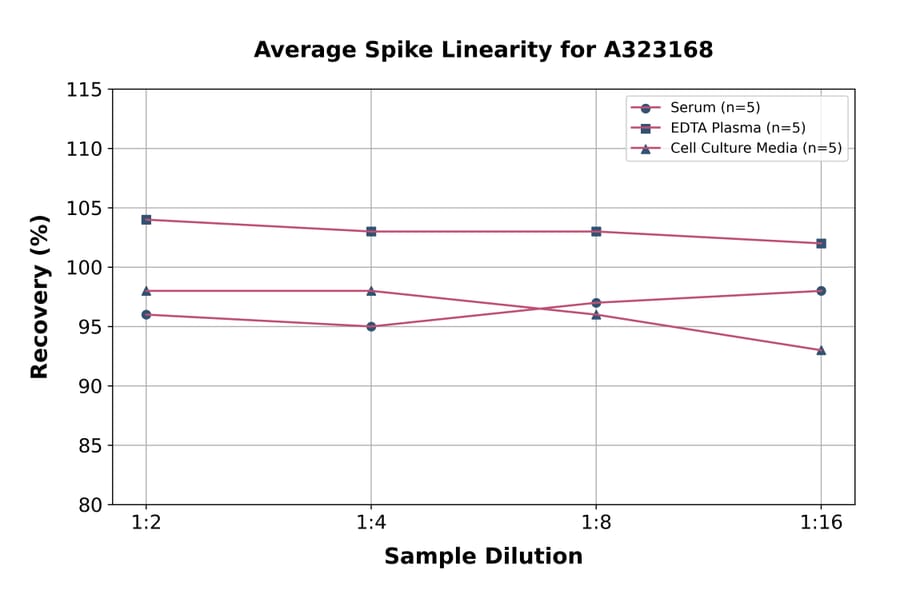 Linearity - Human IL-1 beta ELISA Kit (High Sensitivity) (A323168) - Antibodies.com
