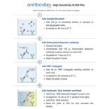 High Sensitivity ELISA Worflow - Human IL-2 ELISA Kit (High Sensitivity) (A323169) - Antibodies.com