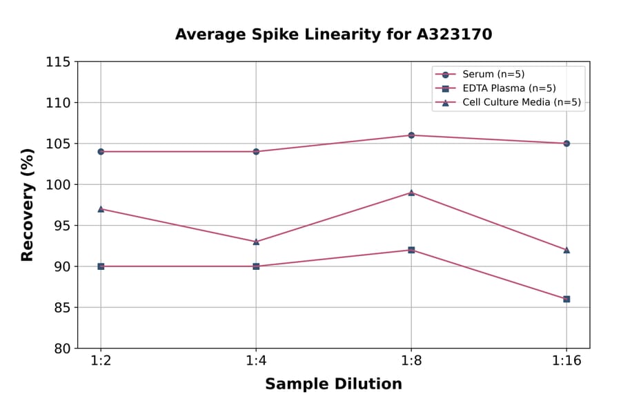 Linearity - Human IL-6 ELISA Kit (High Sensitivity) (A323170) - Antibodies.com