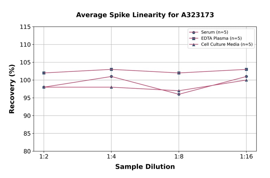 Linearity - Human IL-17A ELISA Kit (High Sensitivity) (A323173) - Antibodies.com