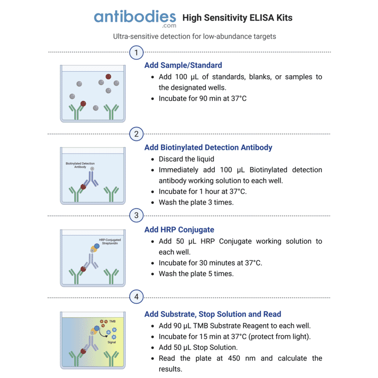 High Sensitivity ELISA Worflow - Human Interferon gamma ELISA Kit (High Sensitivity) (A323174) - Antibodies.com