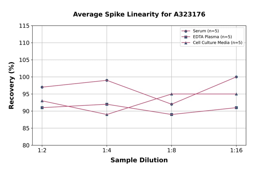 Linearity - Mouse IL-4 ELISA Kit (High Sensitivity) (A323176) - Antibodies.com