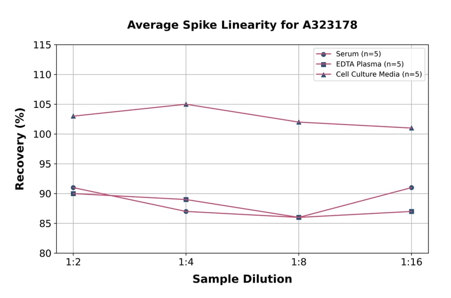 Linearity - Mouse IL-10 ELISA Kit (High Sensitivity) (A323178) - Antibodies.com