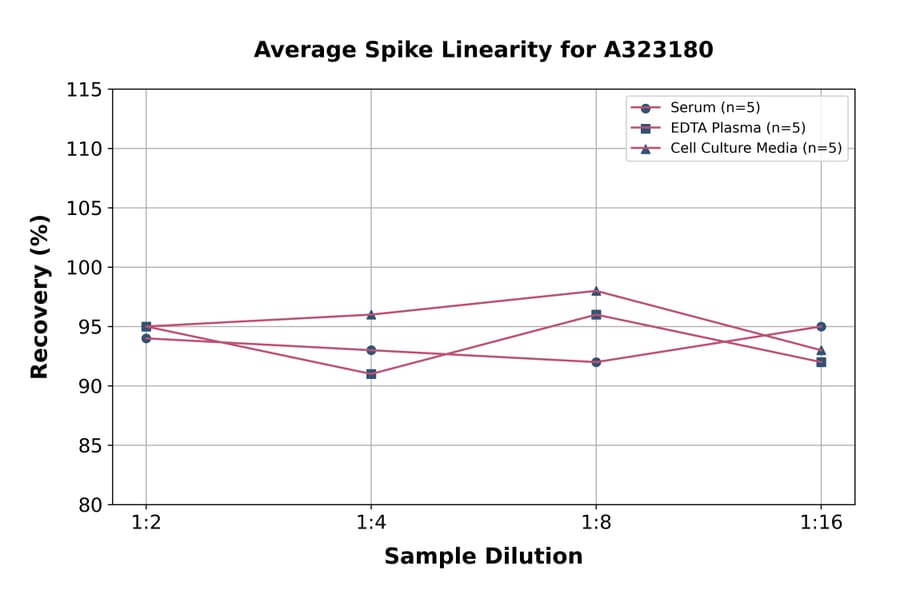 Linearity - Mouse IL-18 ELISA Kit (High Sensitivity) (A323180) - Antibodies.com