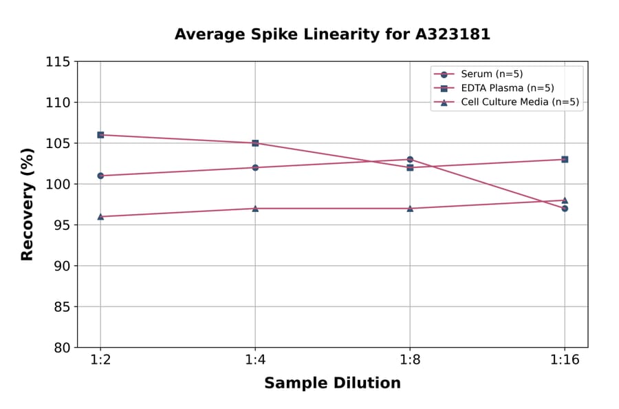 Linearity - Mouse Interferon gamma ELISA Kit (High Sensitivity) (A323181) - Antibodies.com