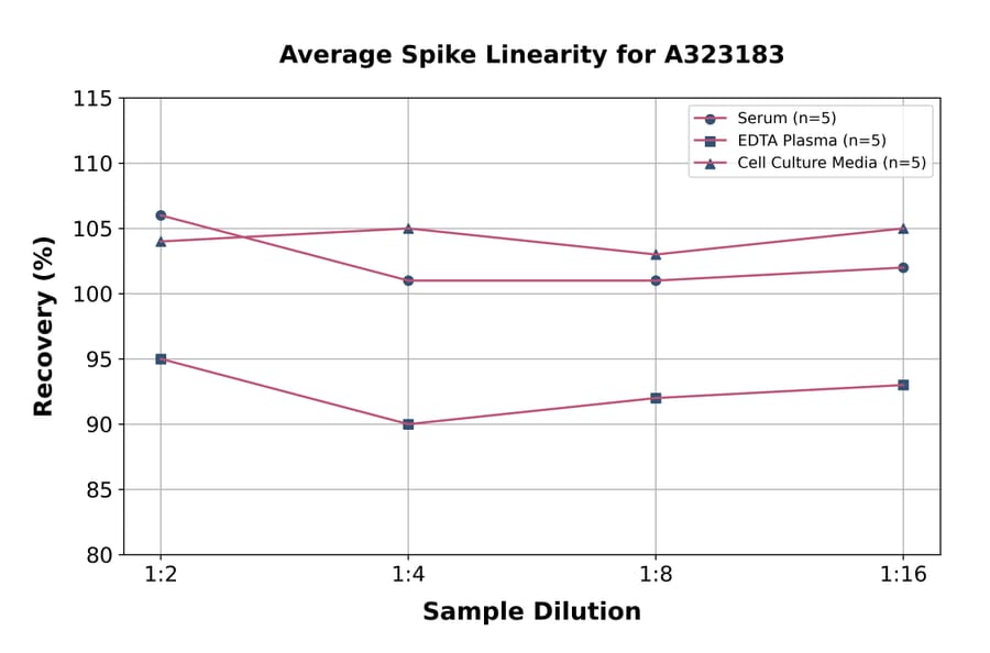 Linearity - Rat TNF alpha ELISA Kit (High Sensitivity) (A323183) - Antibodies.com