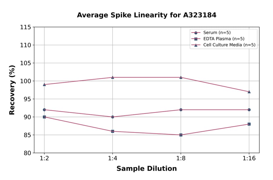 Linearity - Rat IL-1 beta ELISA Kit (High Sensitivity) (A323184) - Antibodies.com
