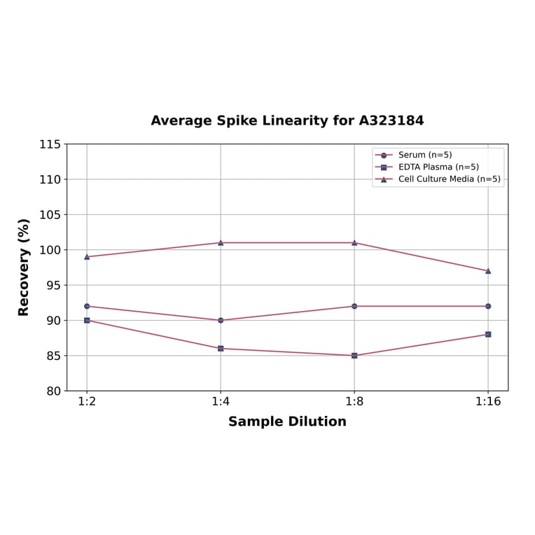 Linearity - Rat IL-1 beta ELISA Kit (High Sensitivity) (A323184) - Antibodies.com