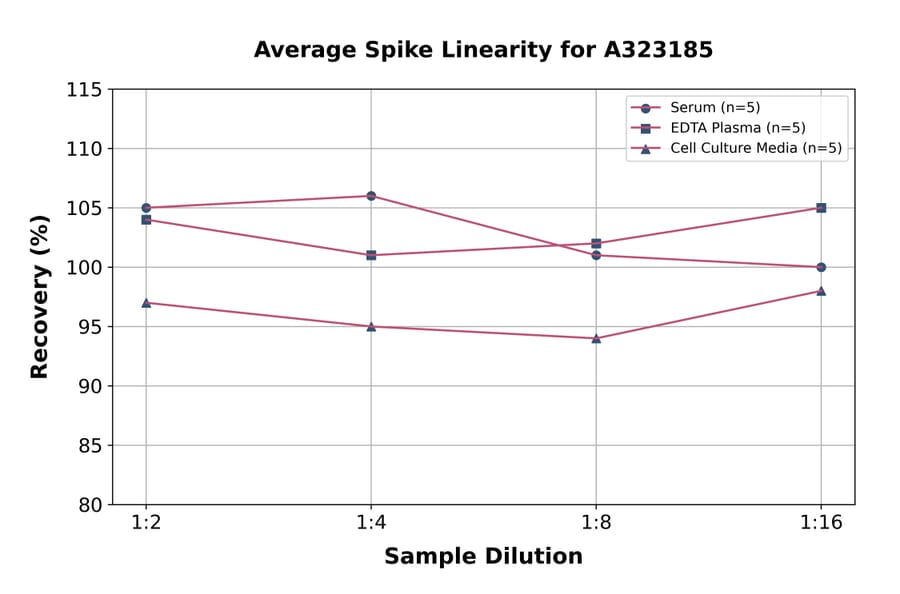 Linearity - Rat IL-6 ELISA Kit (High Sensitivity) (A323185) - Antibodies.com