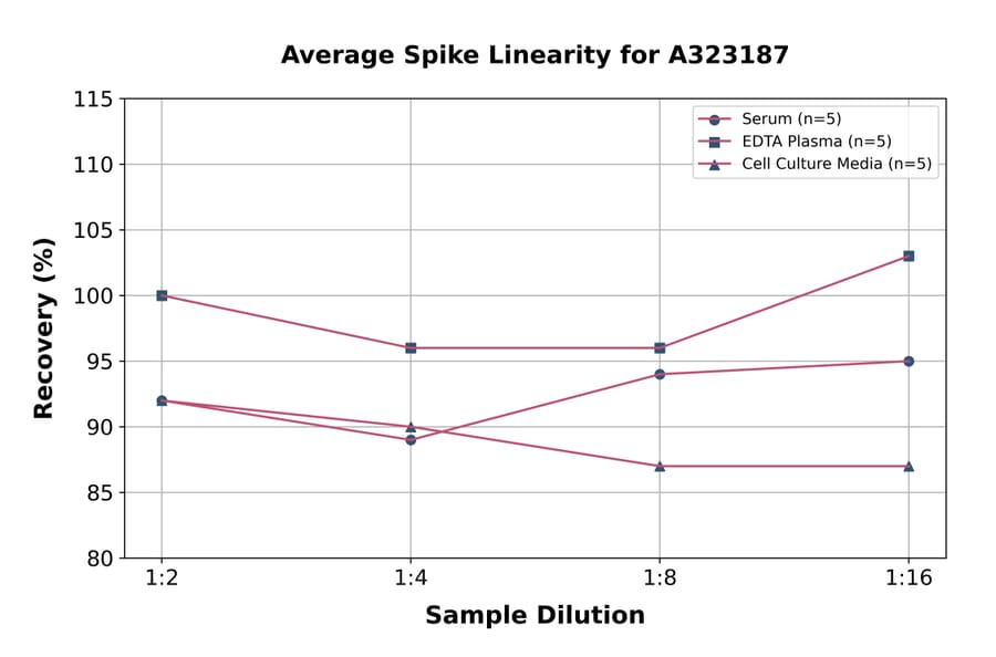 Linearity - Rat IL-12 ELISA Kit (High Sensitivity) (A323187) - Antibodies.com