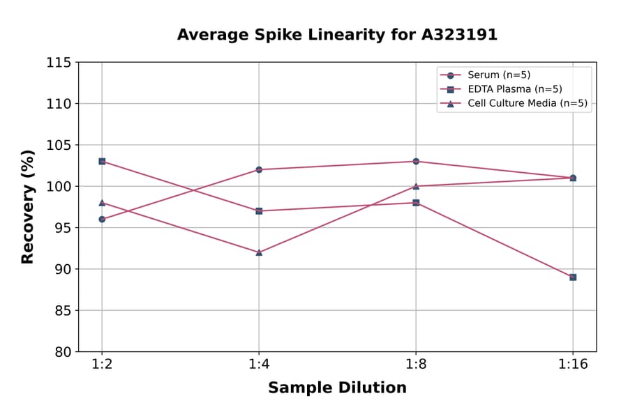 Linearity - Mouse IL-12 ELISA Kit (Small Sample Volume) (A323191) - Antibodies.com