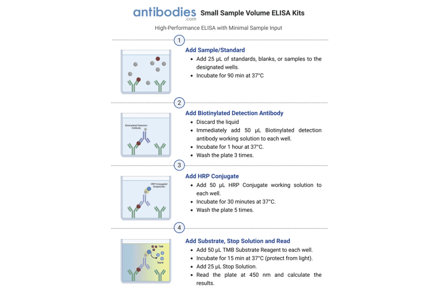 Small Sample Volume Workflow - Mouse VEGF-A ELISA Kit (Small Sample Volume) (A323192) - Antibodies.com