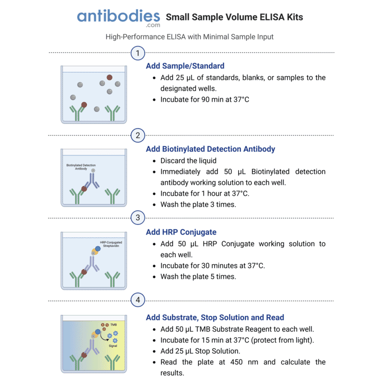 Small Sample Volume Workflow - Mouse VEGF-A ELISA Kit (Small Sample Volume) (A323192) - Antibodies.com