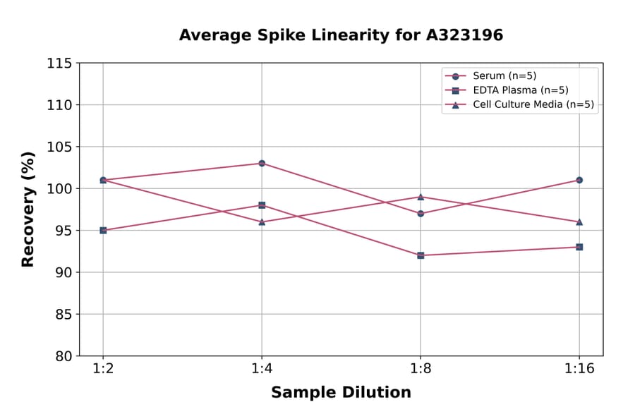 Linearity - Mouse TIM 1 ELISA Kit (Small Sample Volume) (A323196) - Antibodies.com