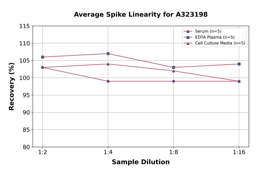 Linearity - Mouse MCP5 ELISA Kit (Small Sample Volume) (A323198) - Antibodies.com