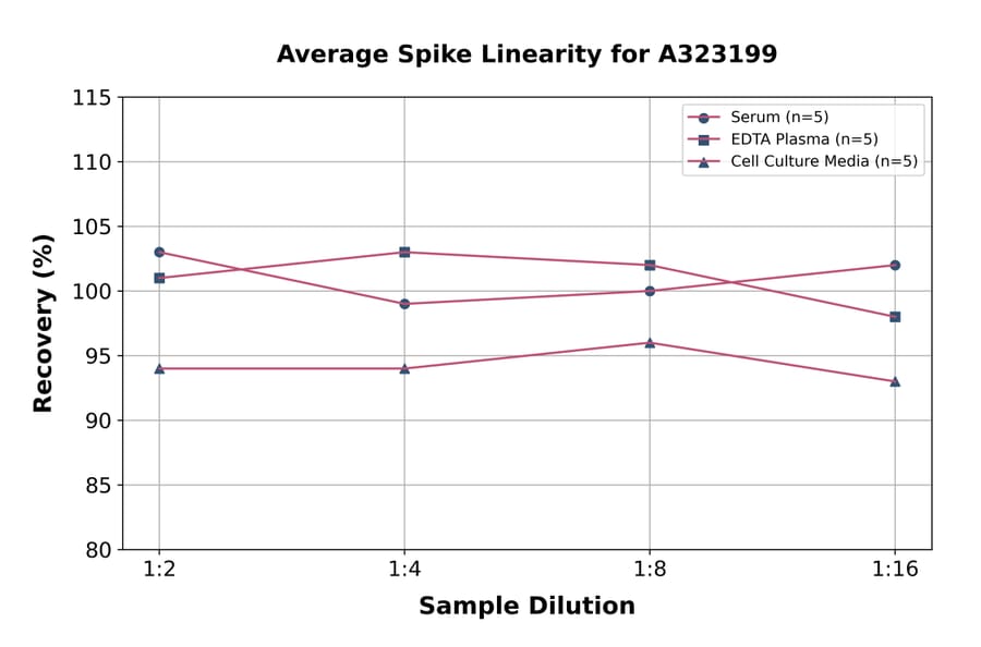 Linearity - Mouse MCP1 ELISA Kit (Small Sample Volume) (A323199) - Antibodies.com