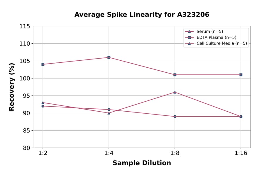 Linearity - Mouse RAGE ELISA Kit (Small Sample Volume) (A323206) - Antibodies.com