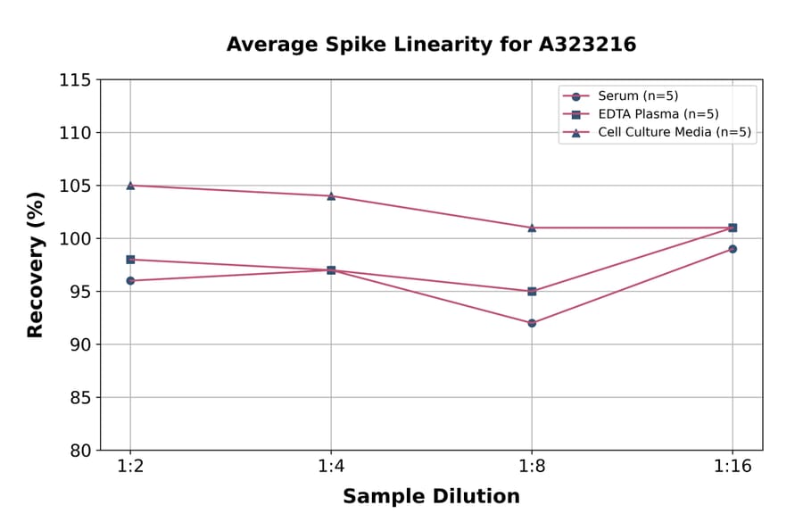 Linearity - Mouse sTNF RII/TNFRSF1B ELISA Kit (Small Sample Volume) (A323216) - Antibodies.com